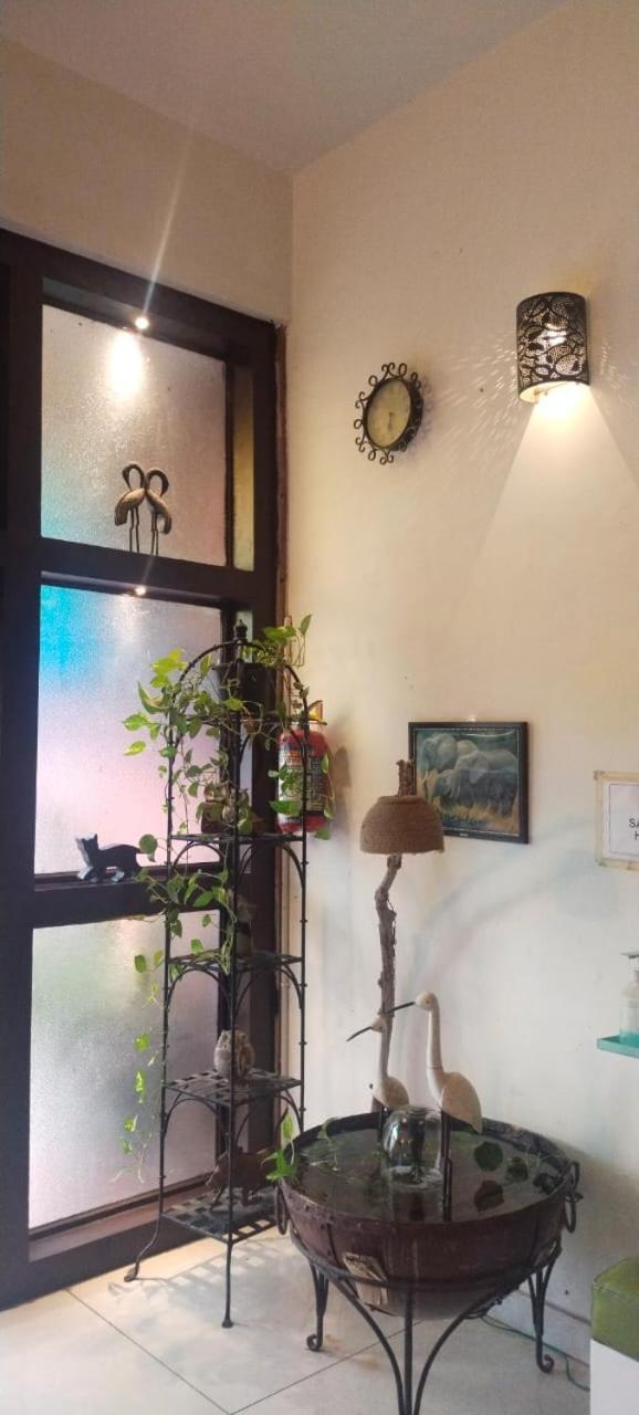 Rangbaari Stays & Cafe Jodhpur  Luaran gambar